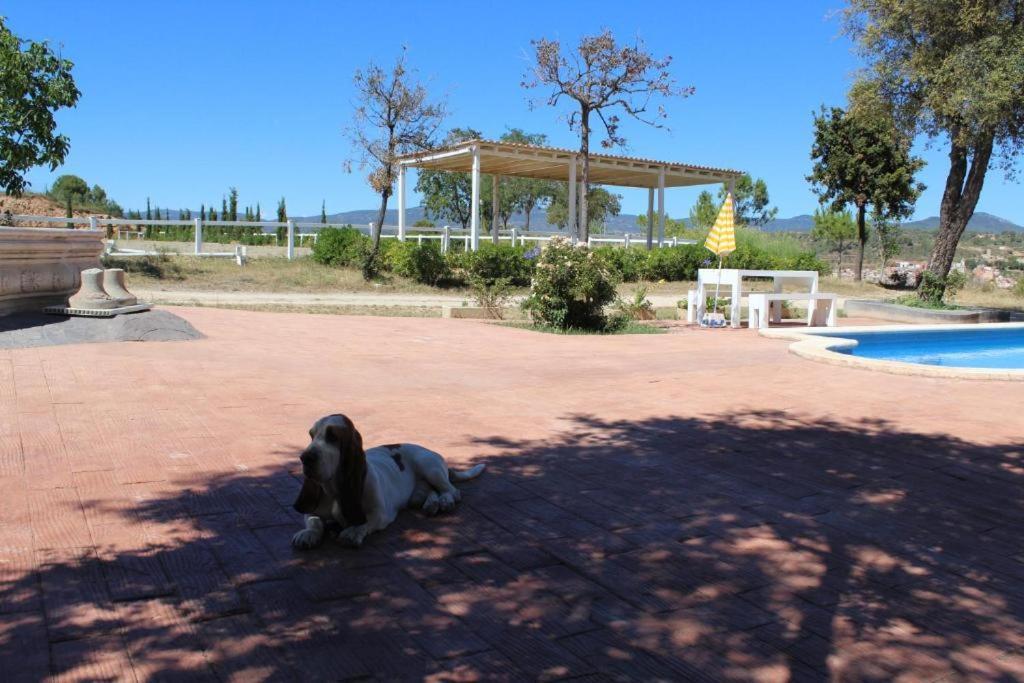 Hotel Rocaplana Club De Campo Vilarrodona Exterior foto
